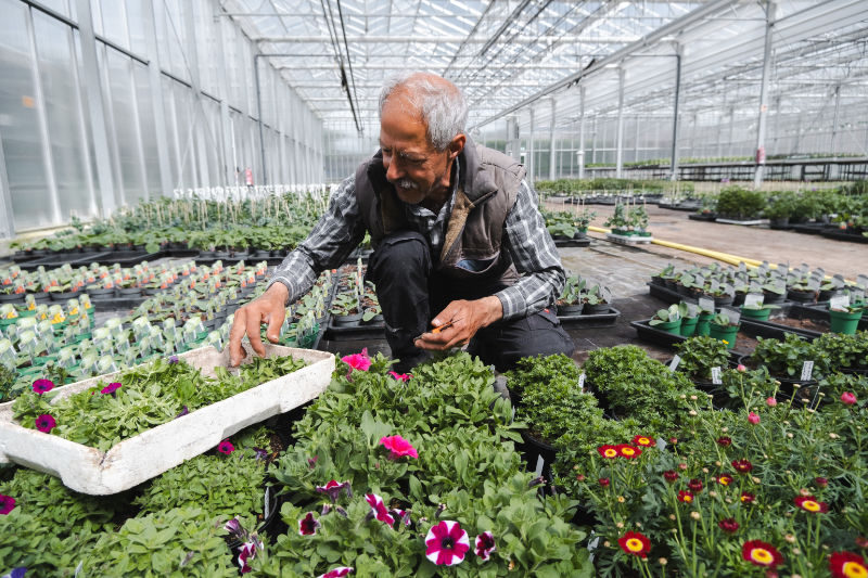 Hölscher Gartenbau sucht neue Mitarbeiter!